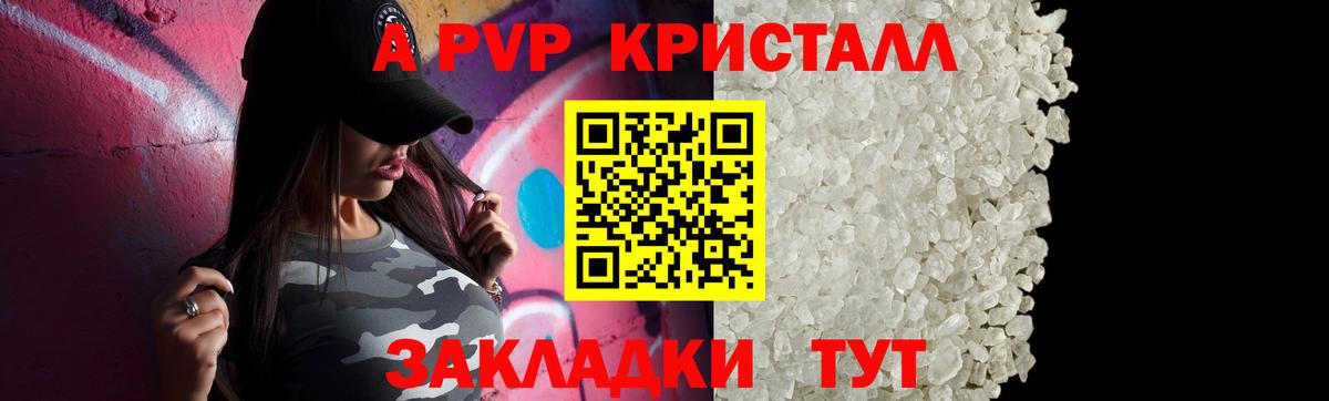 Альфа ПВП СК Дубна
