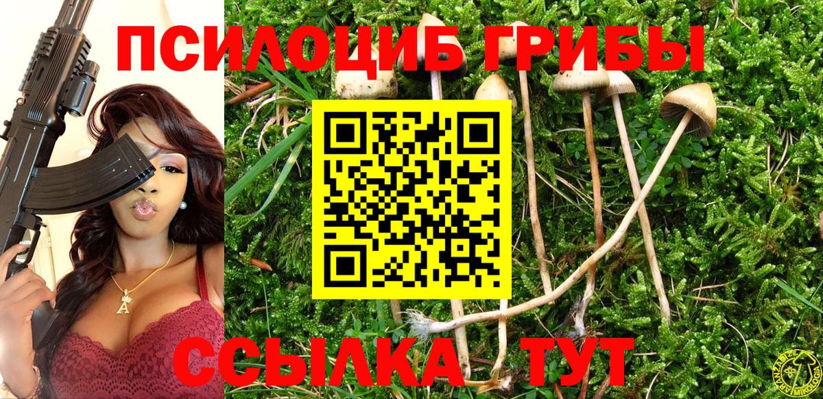 Дубна  Псилоцибиновые грибы GOLDEN TEACHER  Вход с VPN 