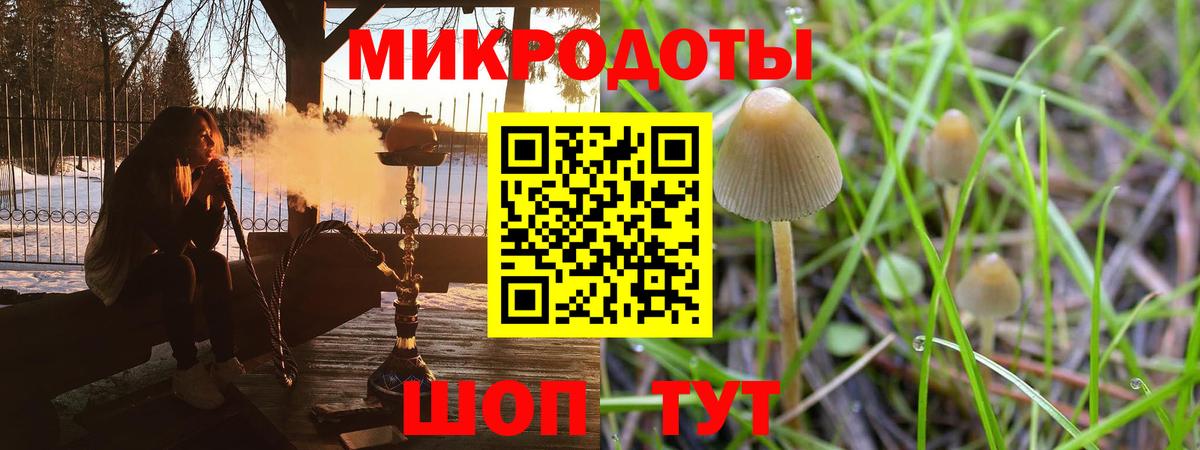 Галлюциногенные грибы Psilocybine cubensis Дубна